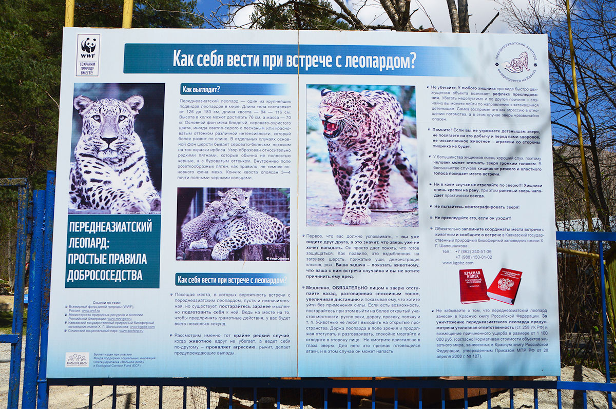 Треккинг в Цейском ущелье. Комфорт-тур с гостиницей (6/50)