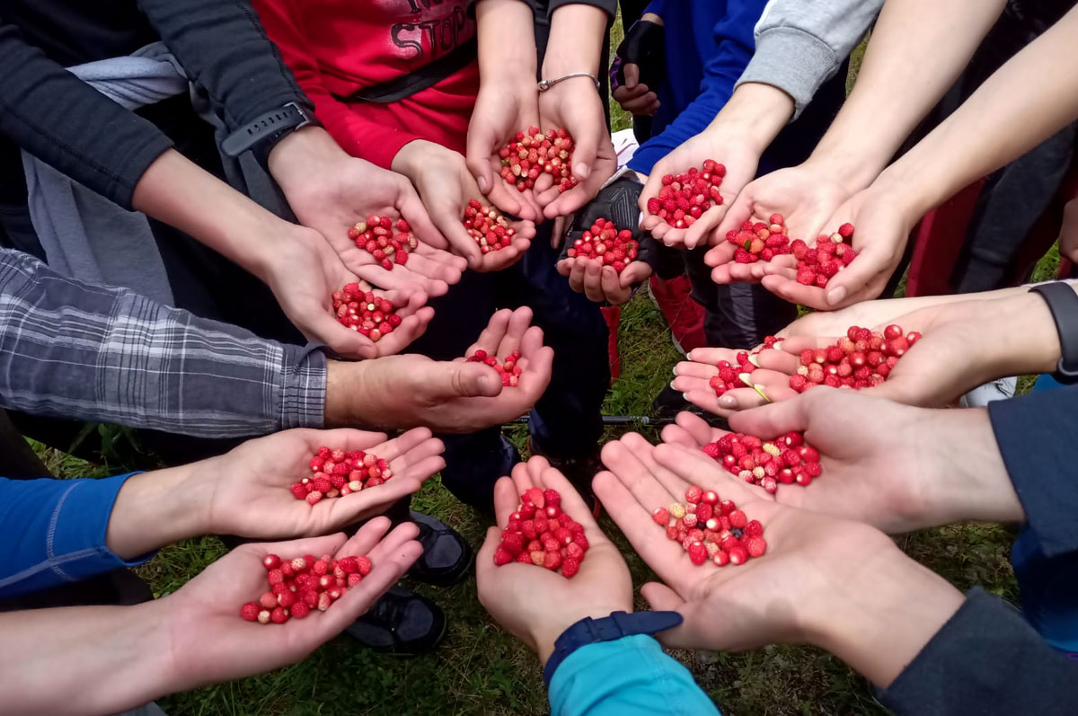 Треккинг в Цейском ущелье. Комфорт-тур с гостиницей (26/50)