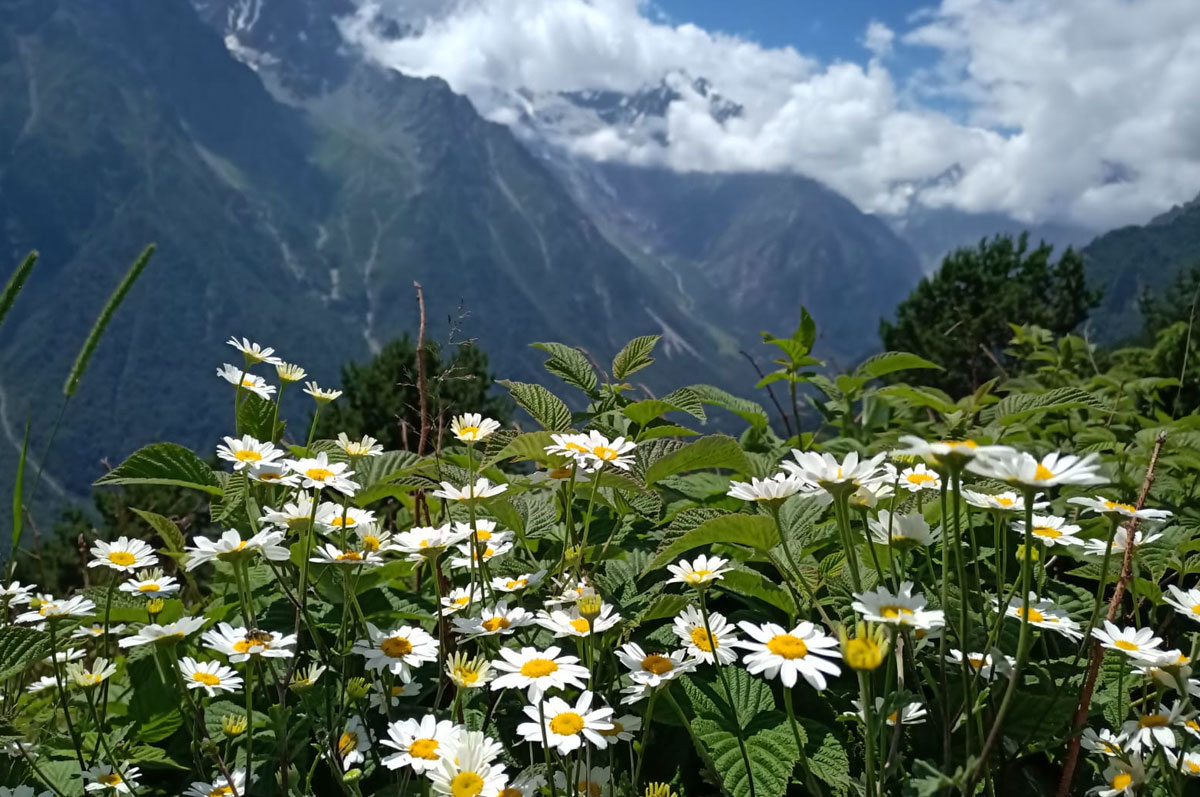 Треккинг в Цейском ущелье. Комфорт-тур с гостиницей (28/50)