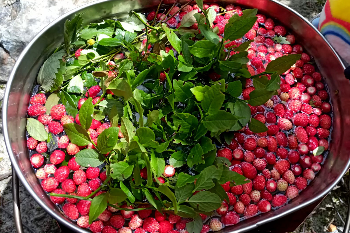 Треккинг в Цейском ущелье. Комфорт-тур с гостиницей (29/50)