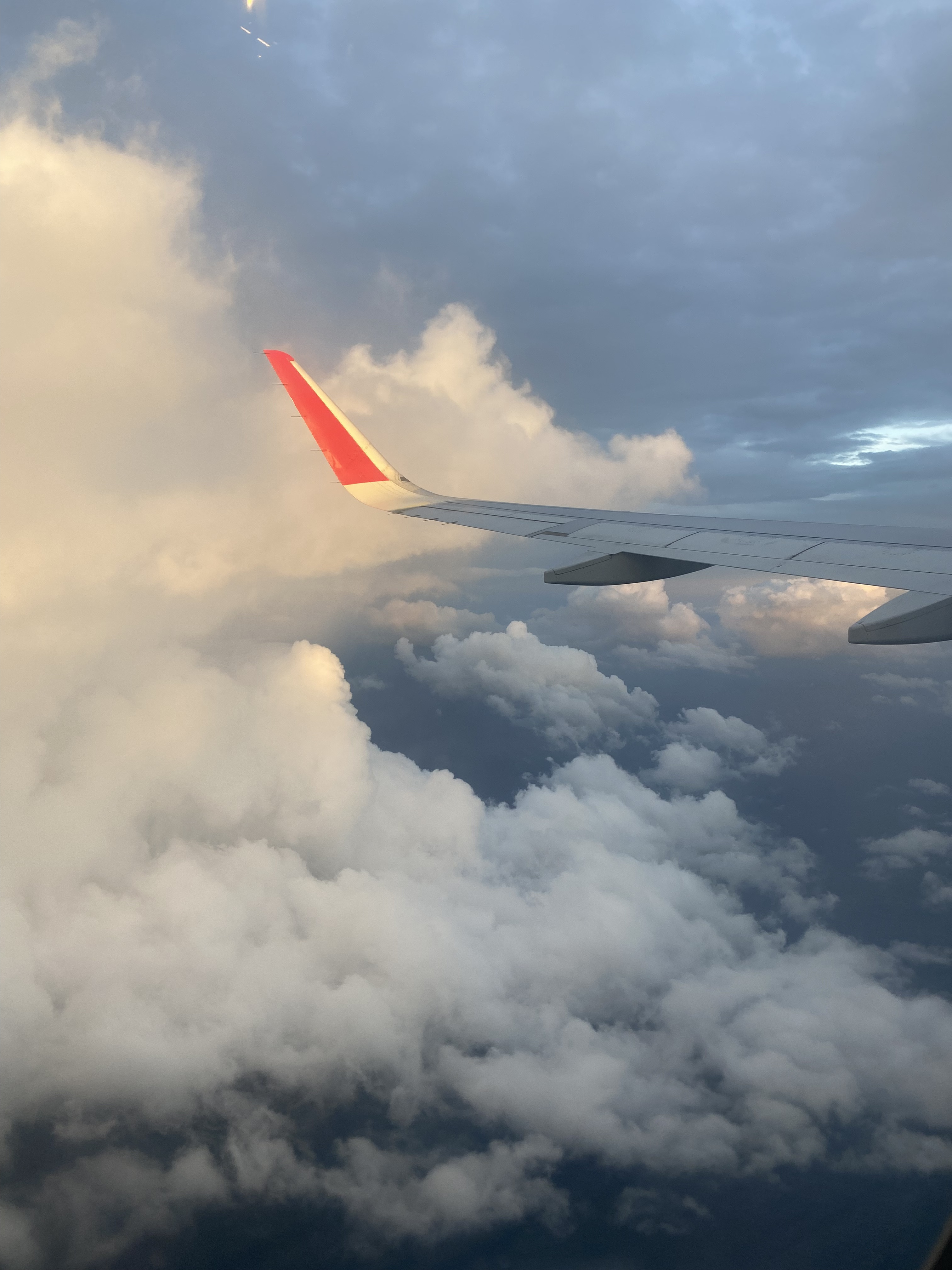 Шри-Ланка. Восточные пляжи, горы, чай, слоны и леопарды (45/45)