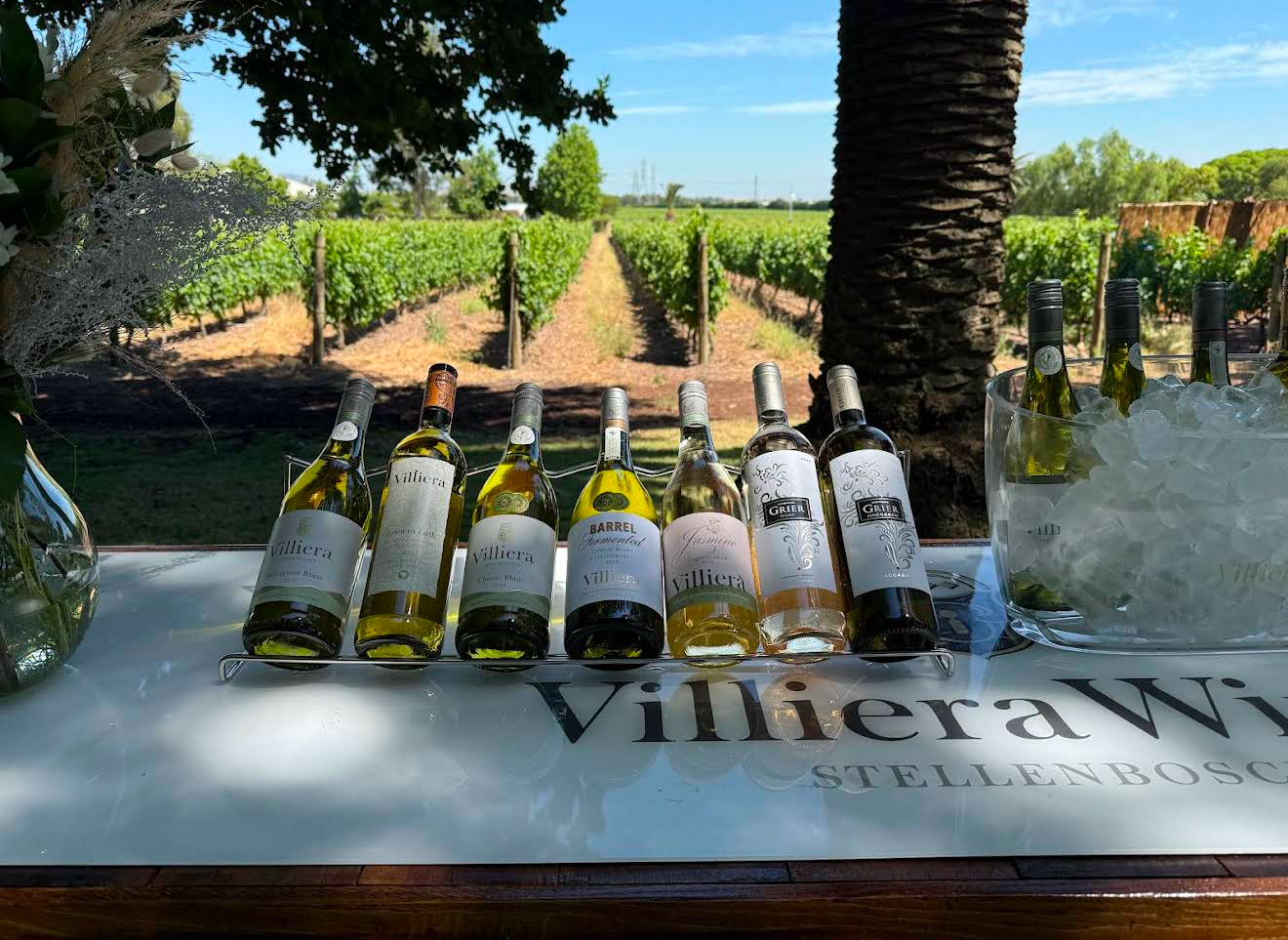 Юар-Большое Путешествие: пингвины, сафари и гепарды, вертолеты и вино (15/23)