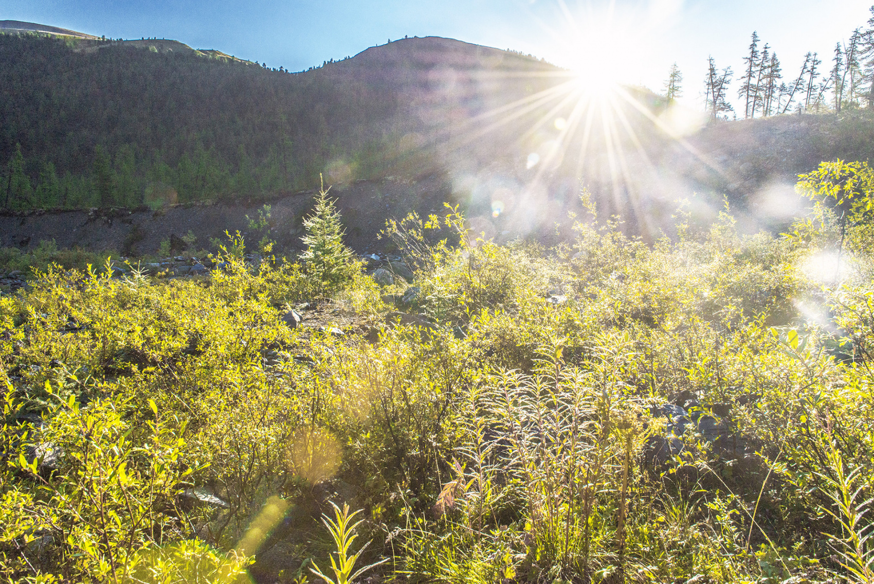Йога-тур на Алтай к священной горе Белуха:  Выход на новый уровень (9/11)