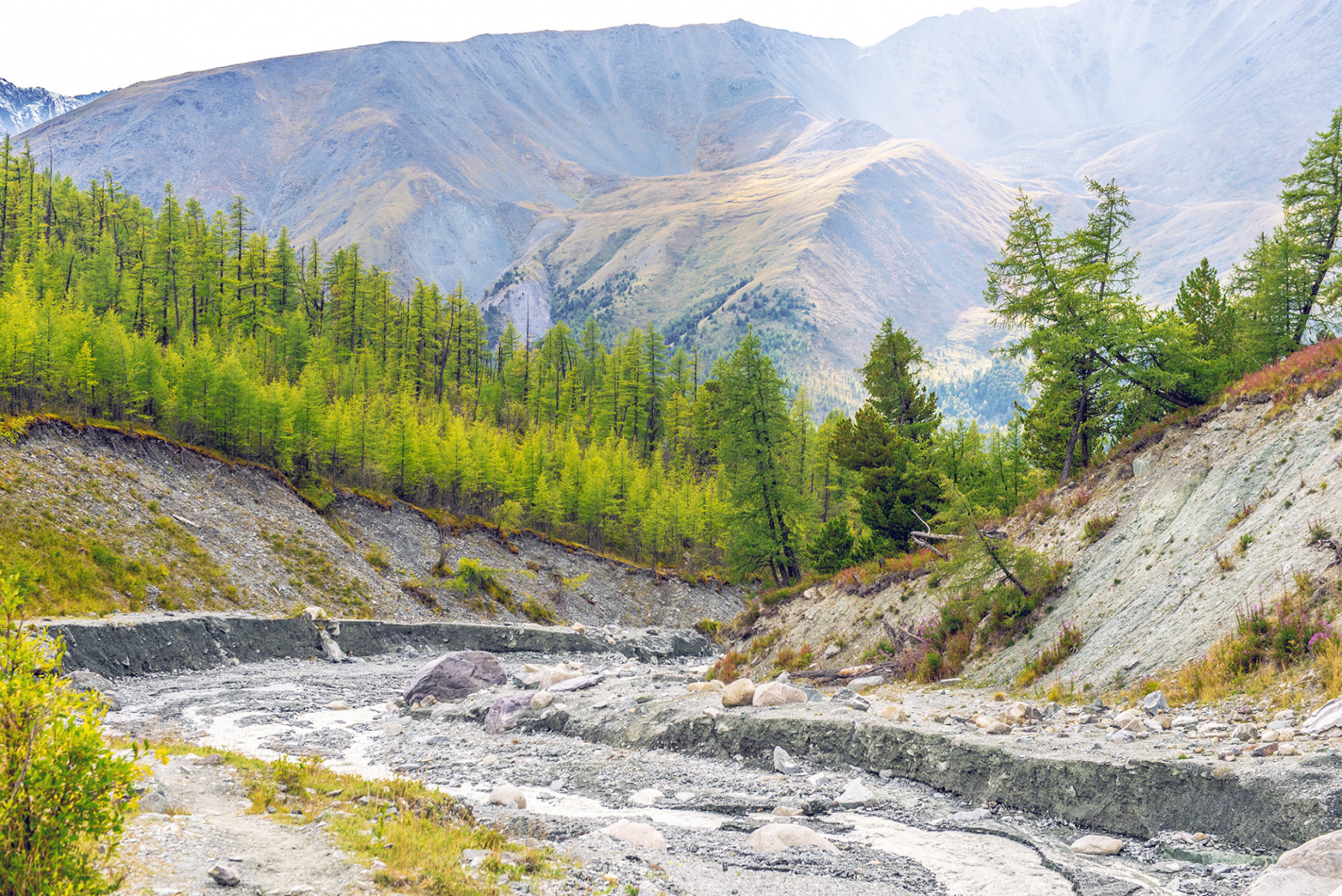 Йога-тур на Алтай к священной горе Белуха:  Выход на новый уровень (2/11)