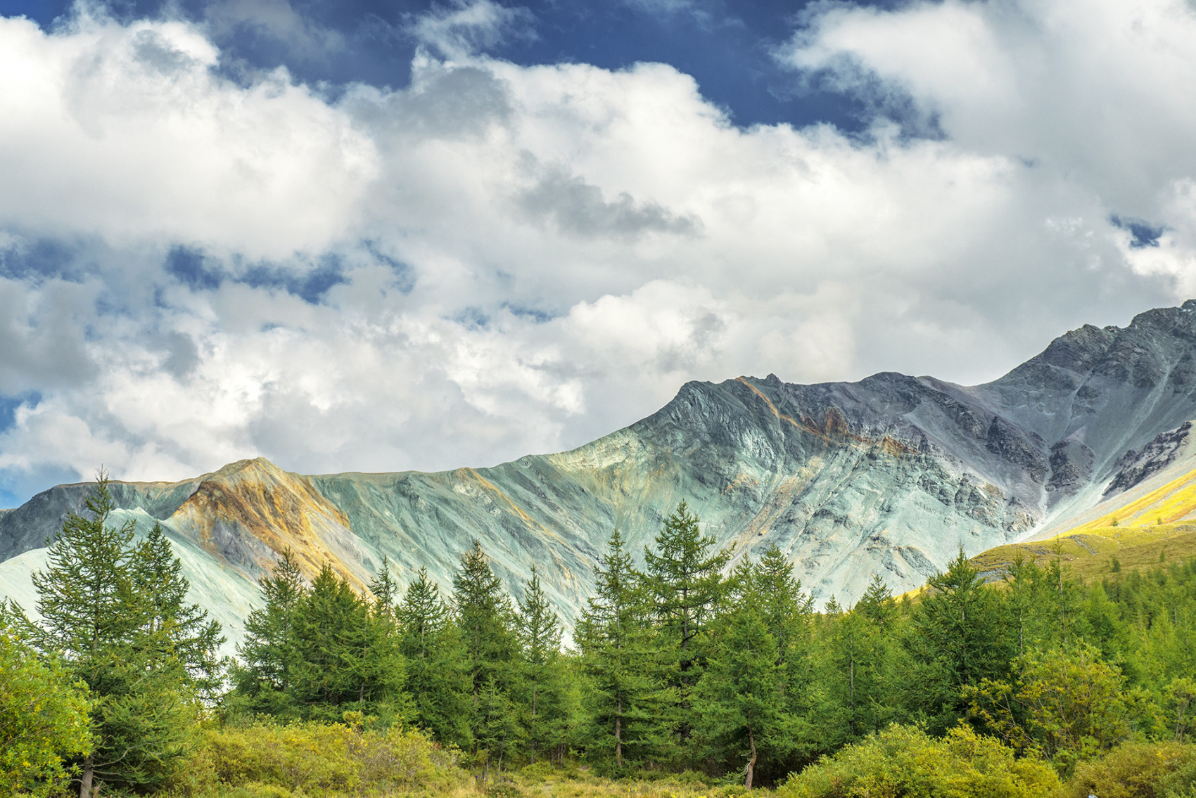 Йога-тур на Алтай к священной горе Белуха:  Выход на новый уровень (5/11)