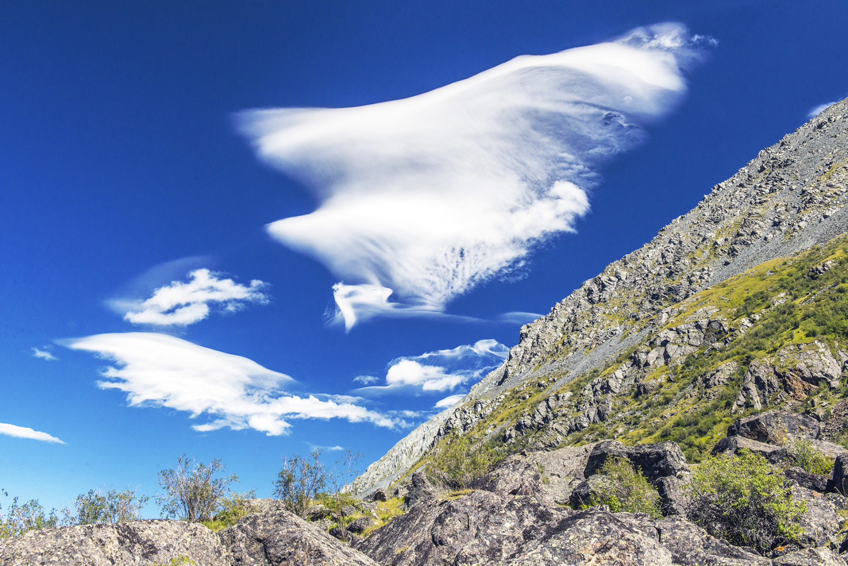 Йога-тур на Алтай к священной горе Белуха:  Выход на новый уровень (4/11)