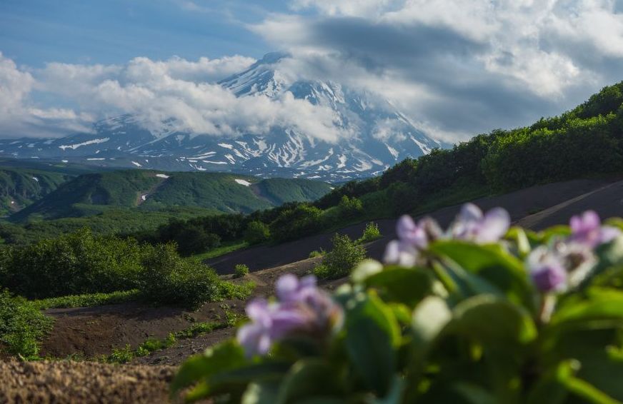 Камчатка + Все Включено (11/67)