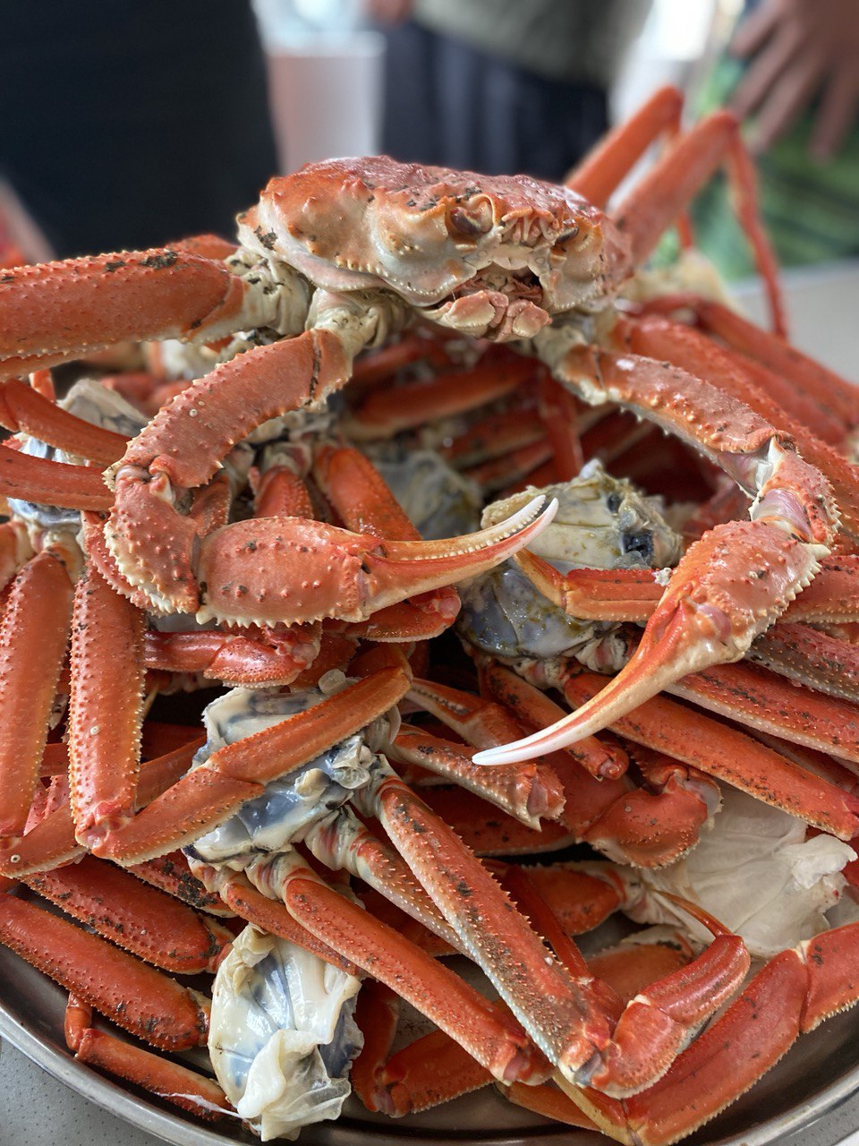 Камчатка + Все Включено (19/67)