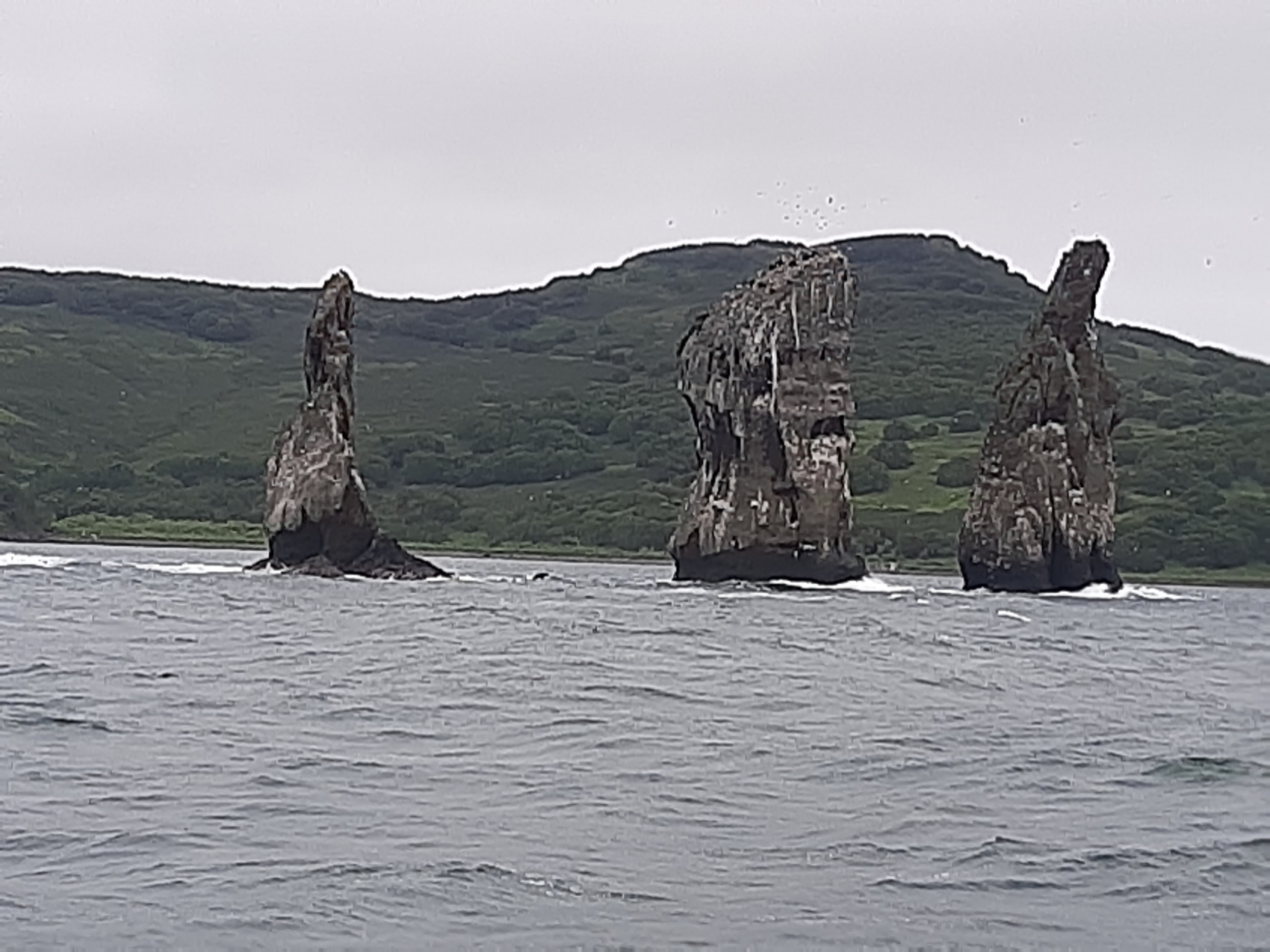 Камчатка + Все Включено (33/67)