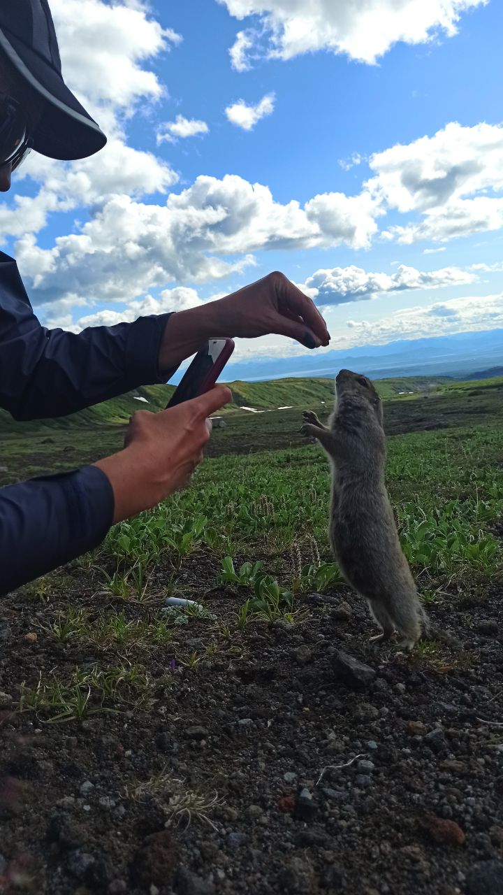 Камчатка + Все Включено (43/67)