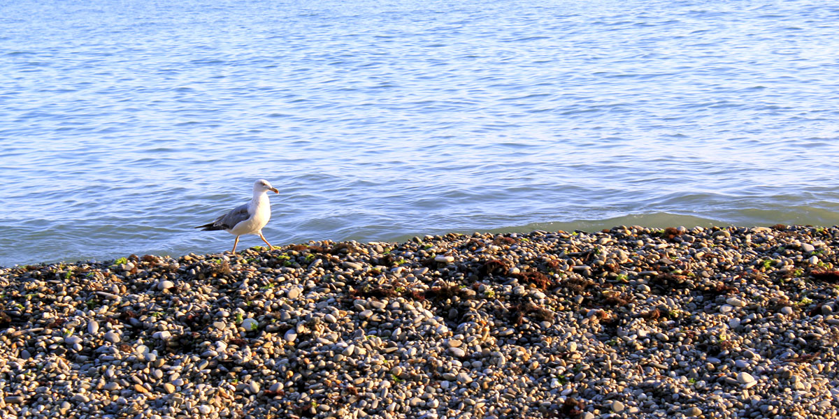 Легендарная Тридцатка. Через горы к морю (10/52)