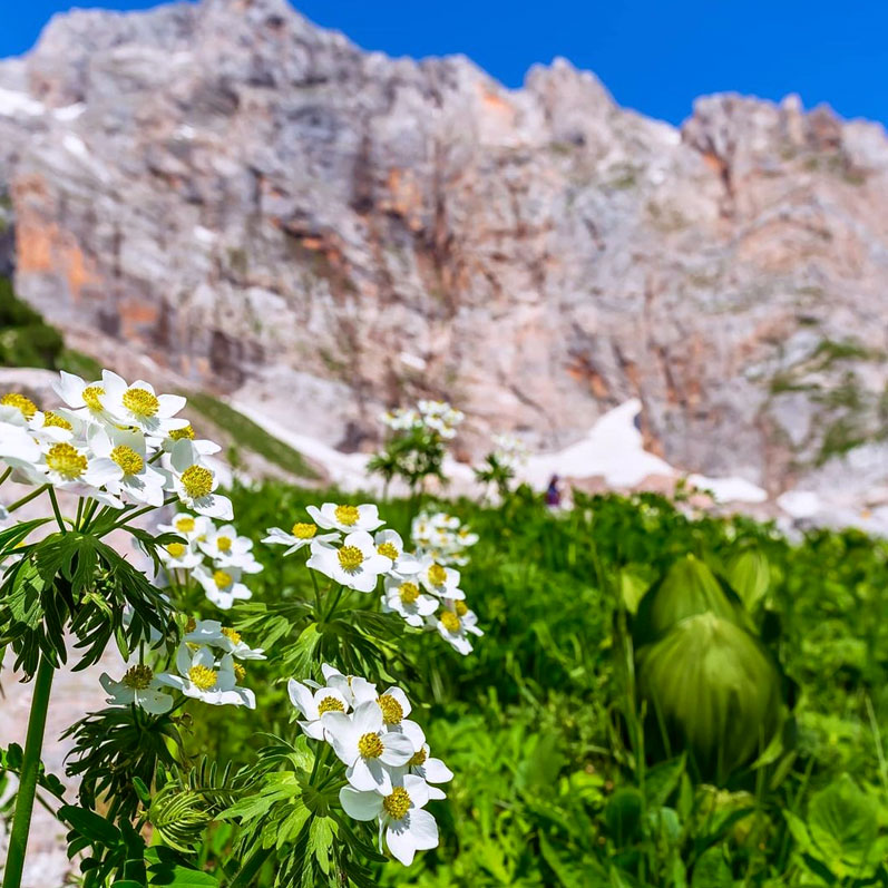 Легендарная Тридцатка. Через горы к морю (30/52)