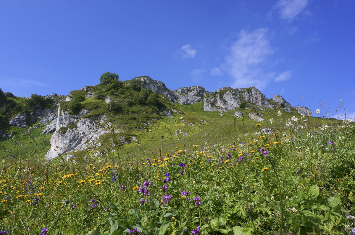 Легендарная Тридцатка. Через горы к морю (7/52)