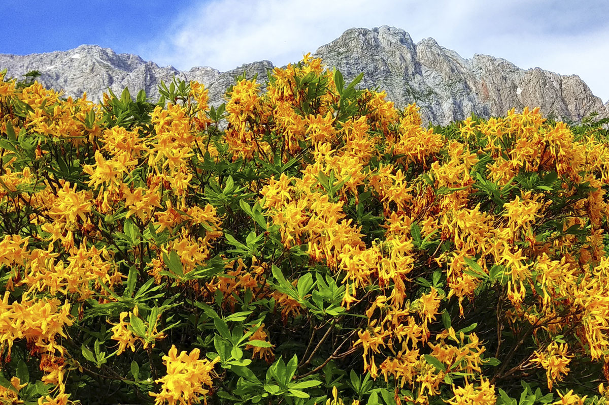 Легендарная Тридцатка. Через горы к морю (2/52)