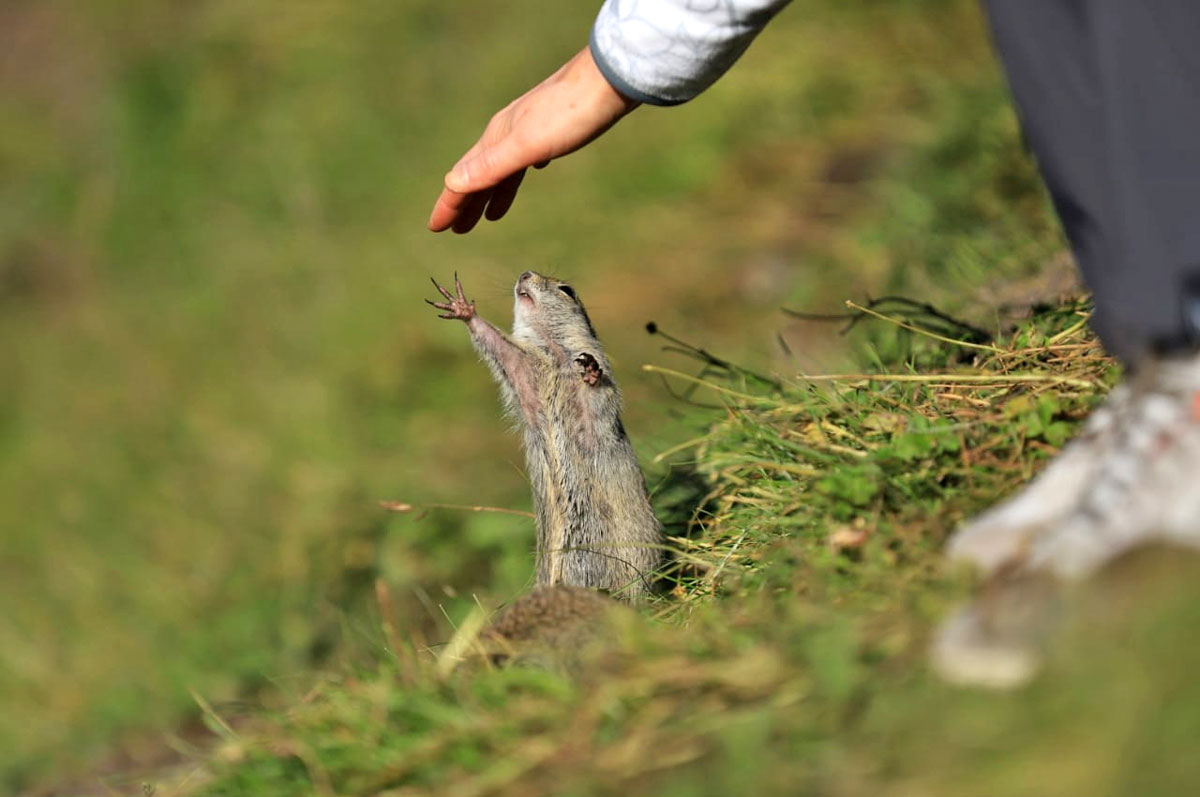 Горячие источники Джилы-Су. Горный лагерь (12/52)