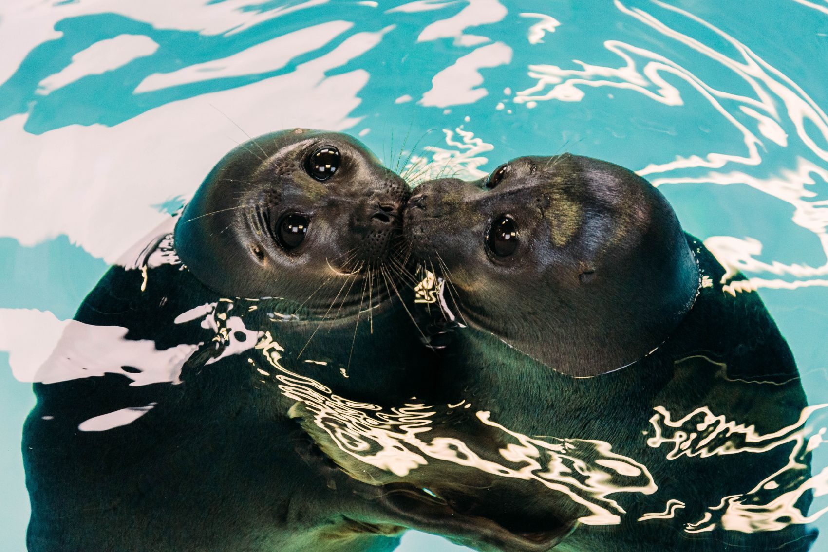 Авторское путешествие по льду Байкала (3/22)