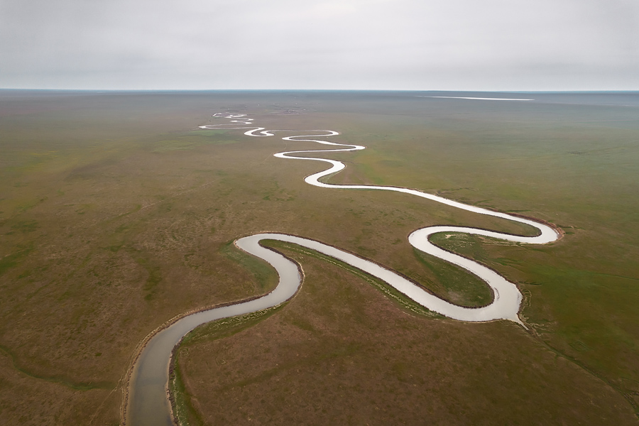 Путешествие в цветущую степь (18/26)