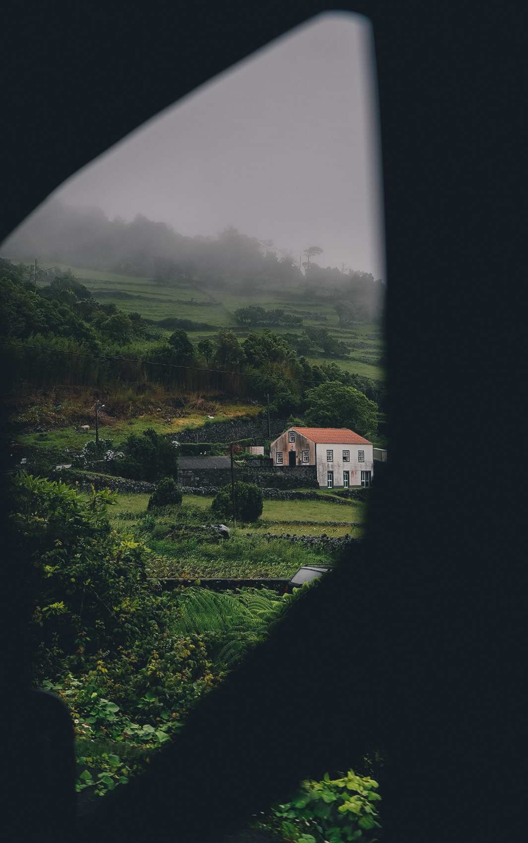 Затерянный мир: Азорские острова (10/55)