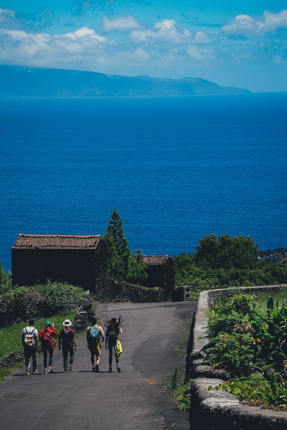 Затерянный мир: Азорские острова (5/55)