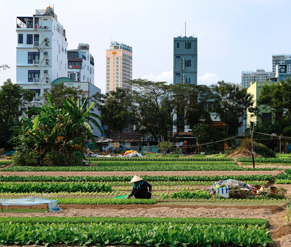 Вьетнам. Невероятное путешествие через всю страну (24/66)