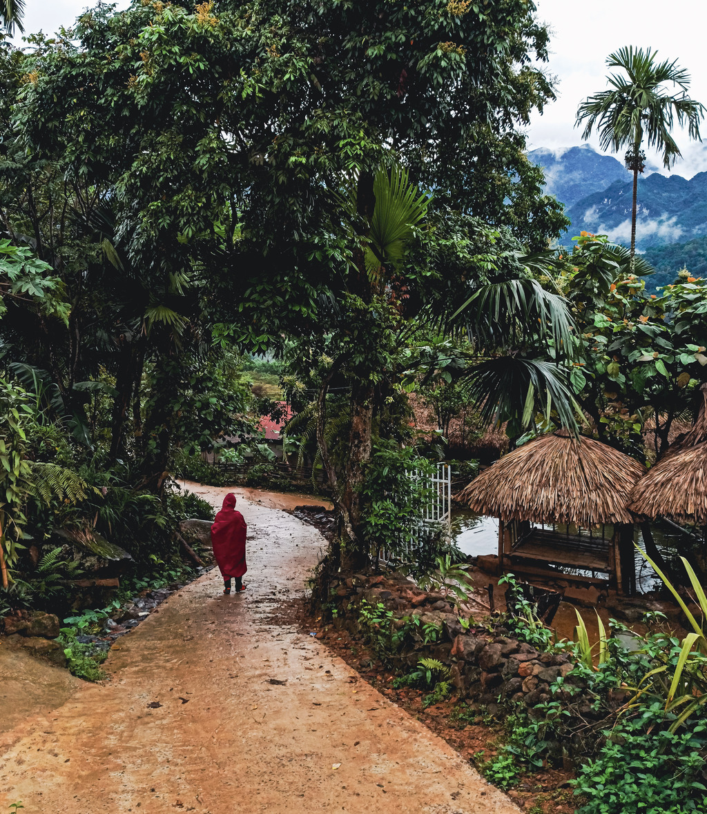 Вьетнам. Невероятное путешествие через всю страну (28/66)