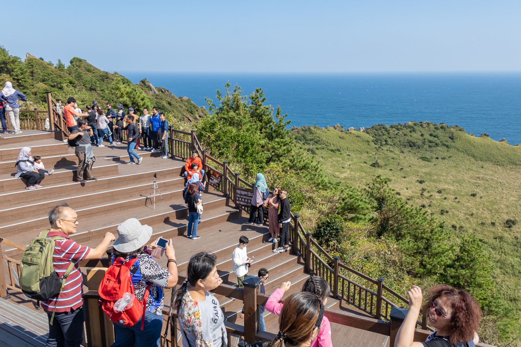 Южная Корея: Весенняя сакура (12/40)