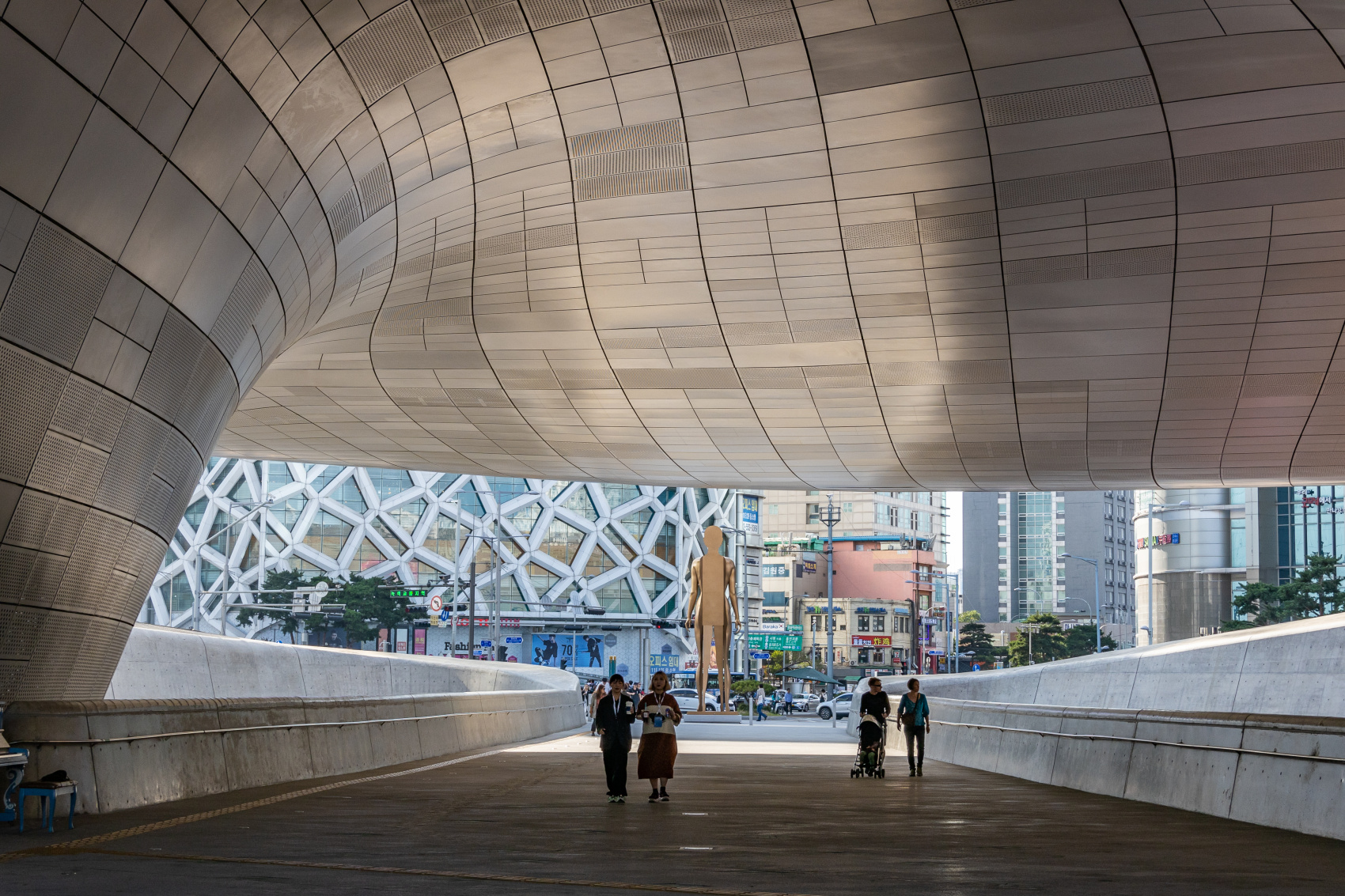 Южная Корея: Весенняя сакура (13/40)