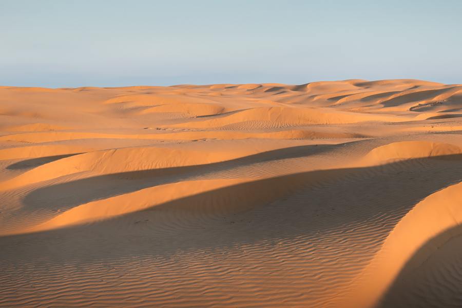 Путешествие в цветущую степь (24/26)