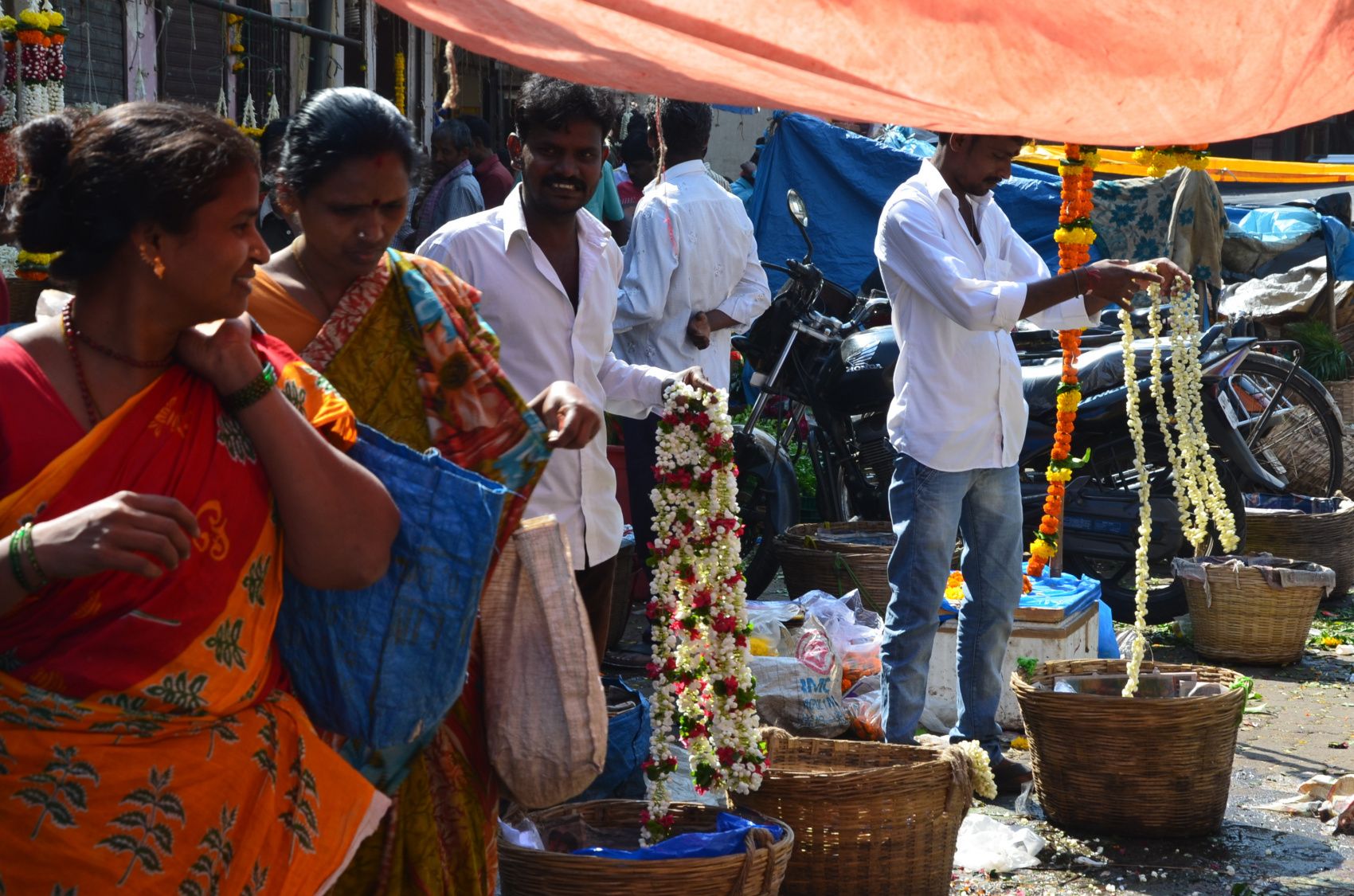 Южная Индия. От моря до гор и обратно (6/45)