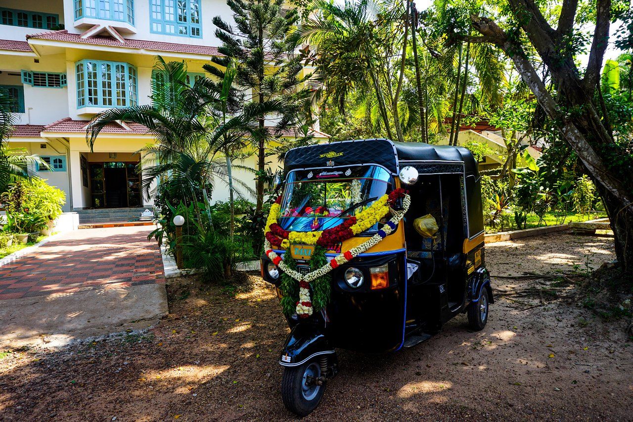 Южная Индия. От моря до гор и обратно (12/45)