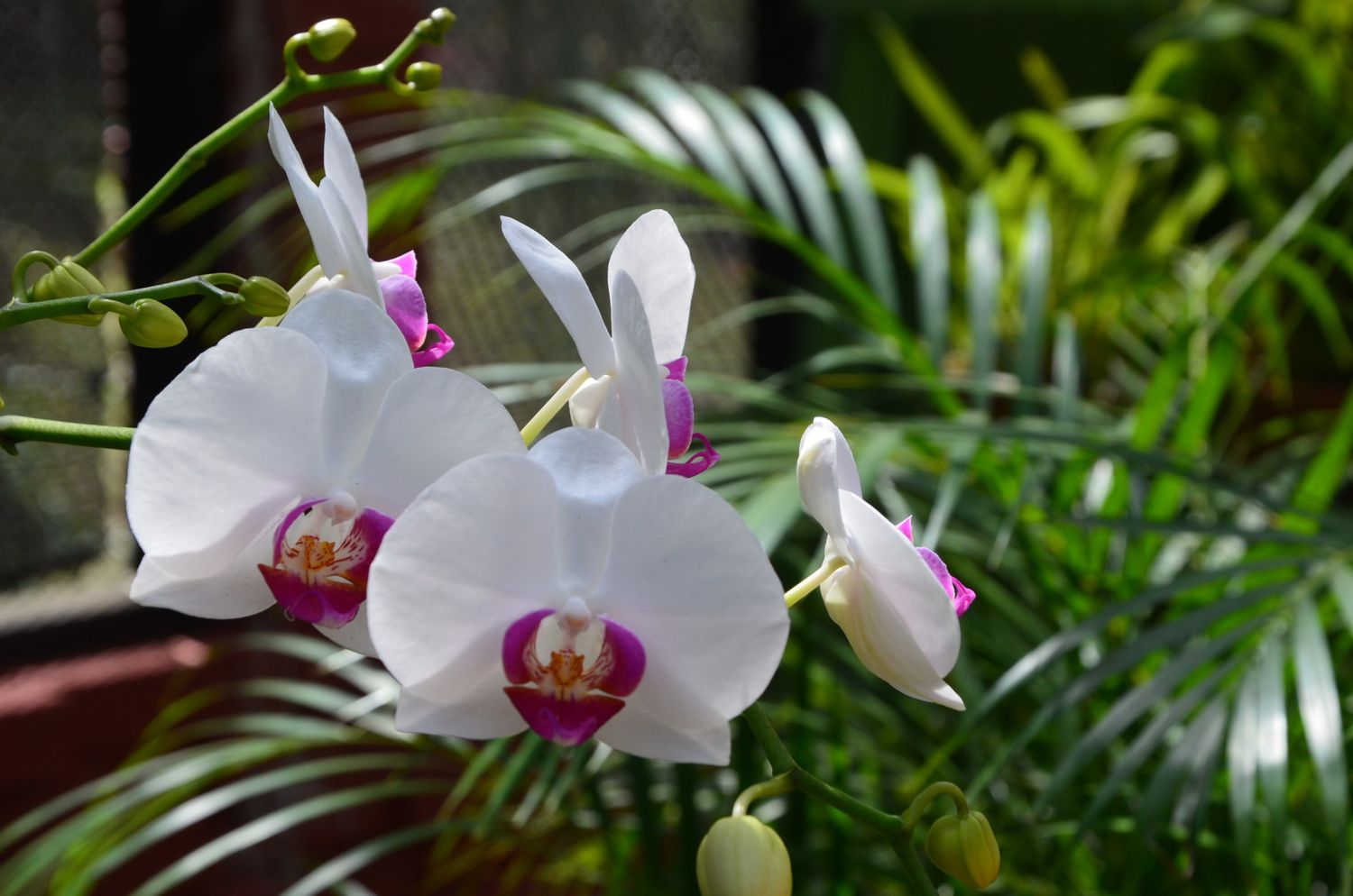 Южная Индия. От моря до гор и обратно (15/45)