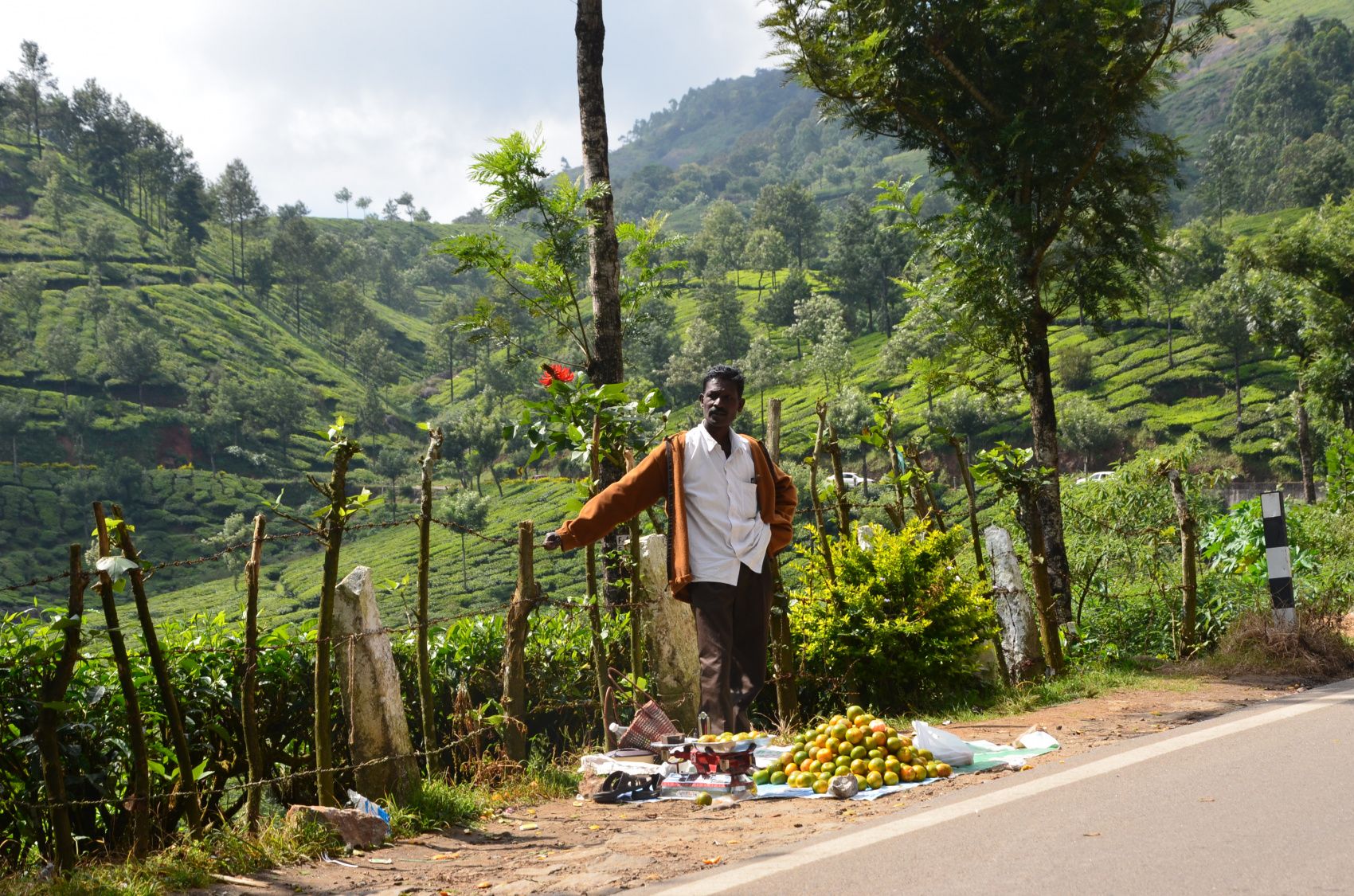 Южная Индия. От моря до гор и обратно (22/45)