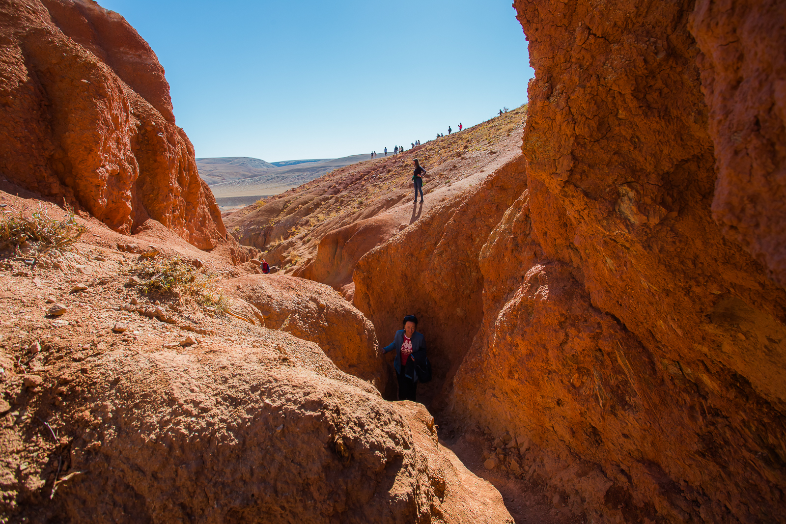 Точка встречи Осенний Алтай! (18/28)