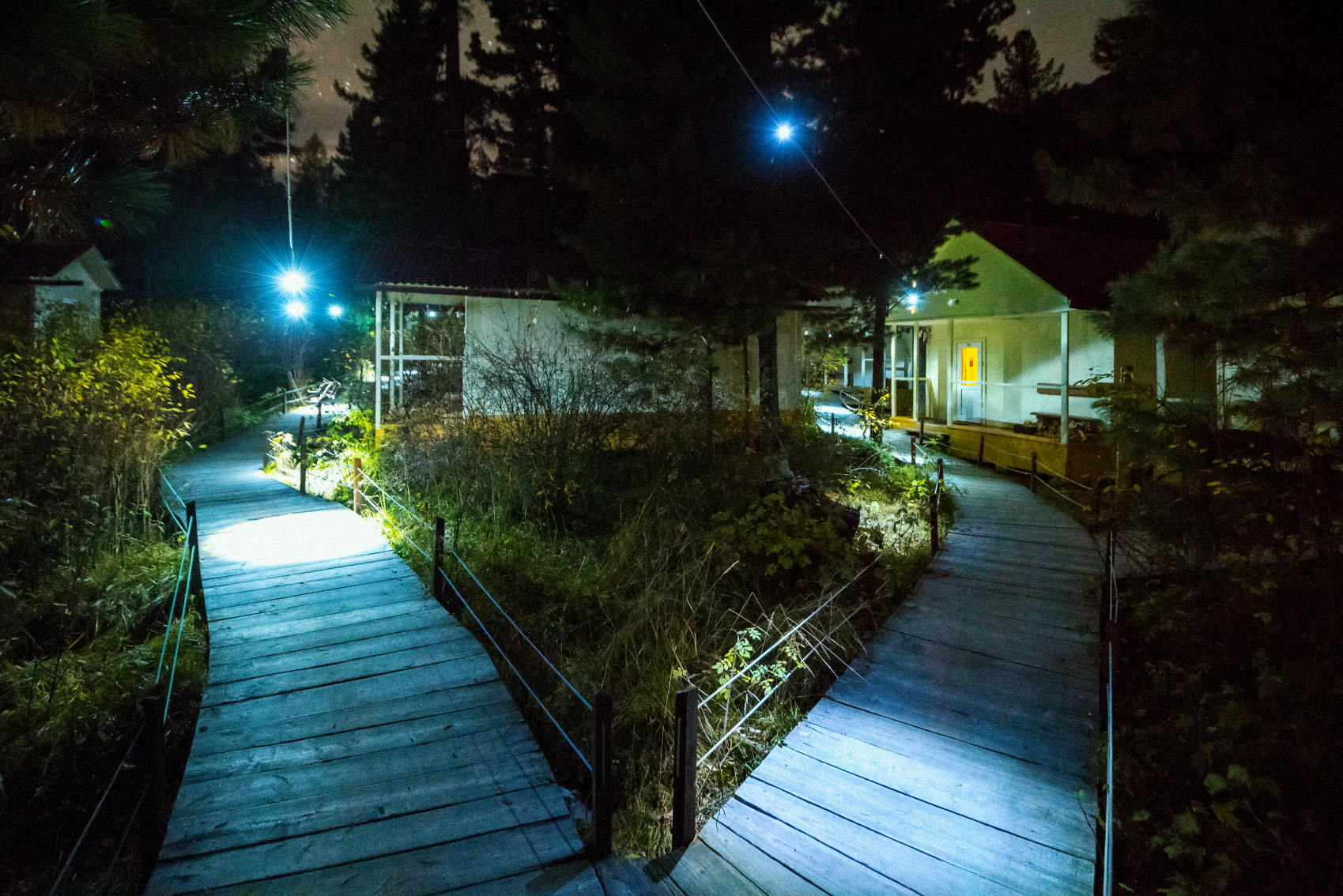 Шумак. Путешествие в место силы. (9/60)