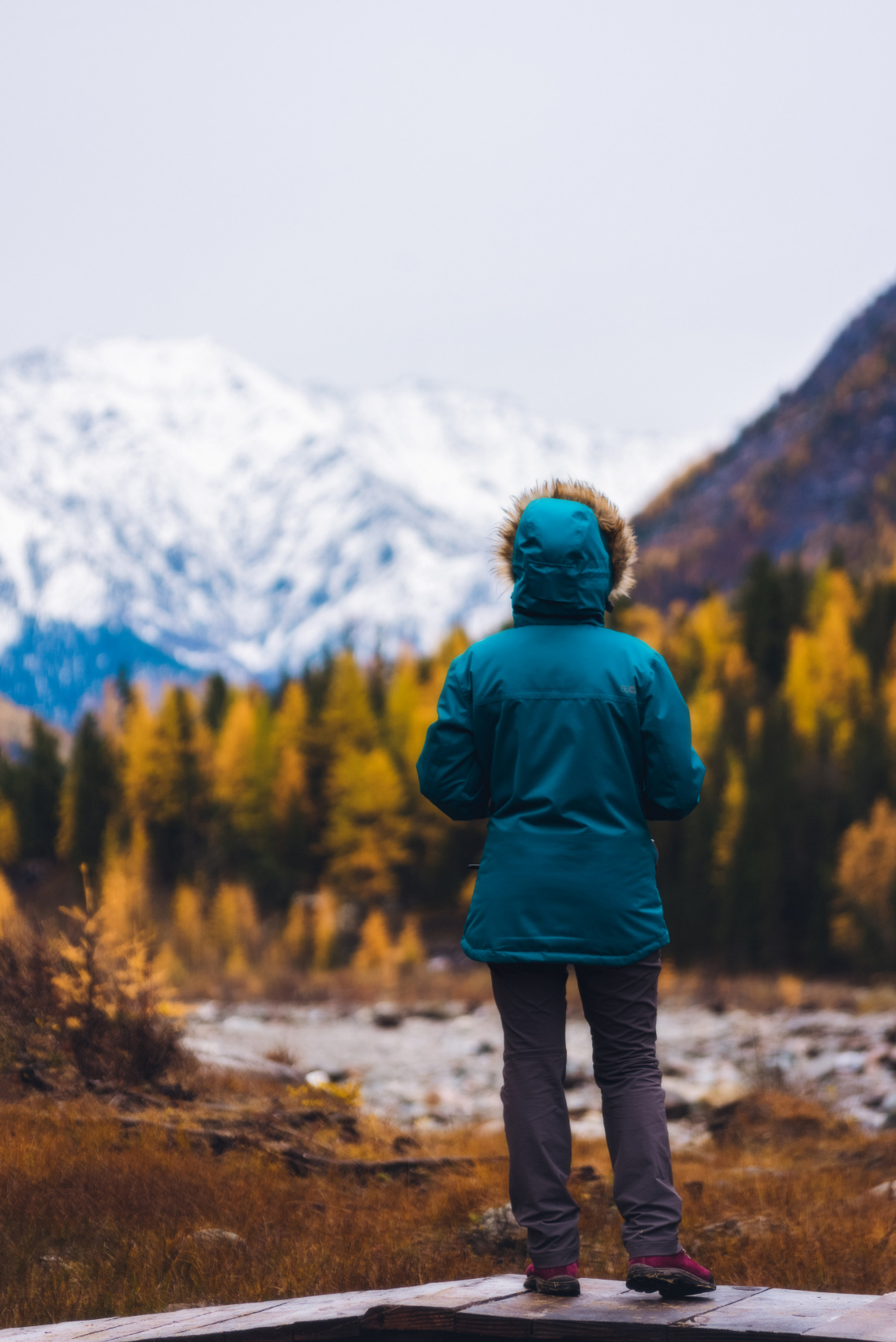 Шумак. Путешествие в место силы. (6/60)