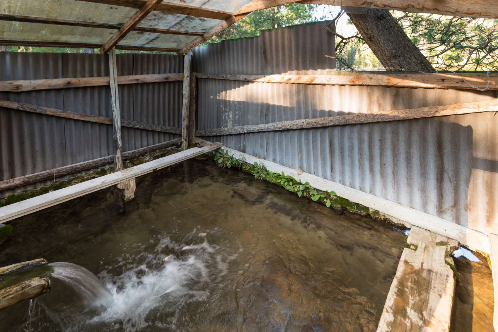 Шумак. Путешествие в место силы. (13/60)