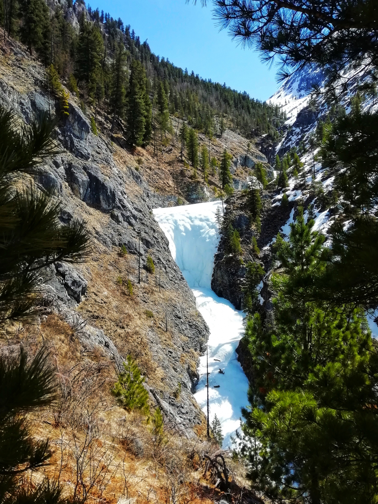 Шумак. Путешествие в место силы. (20/60)
