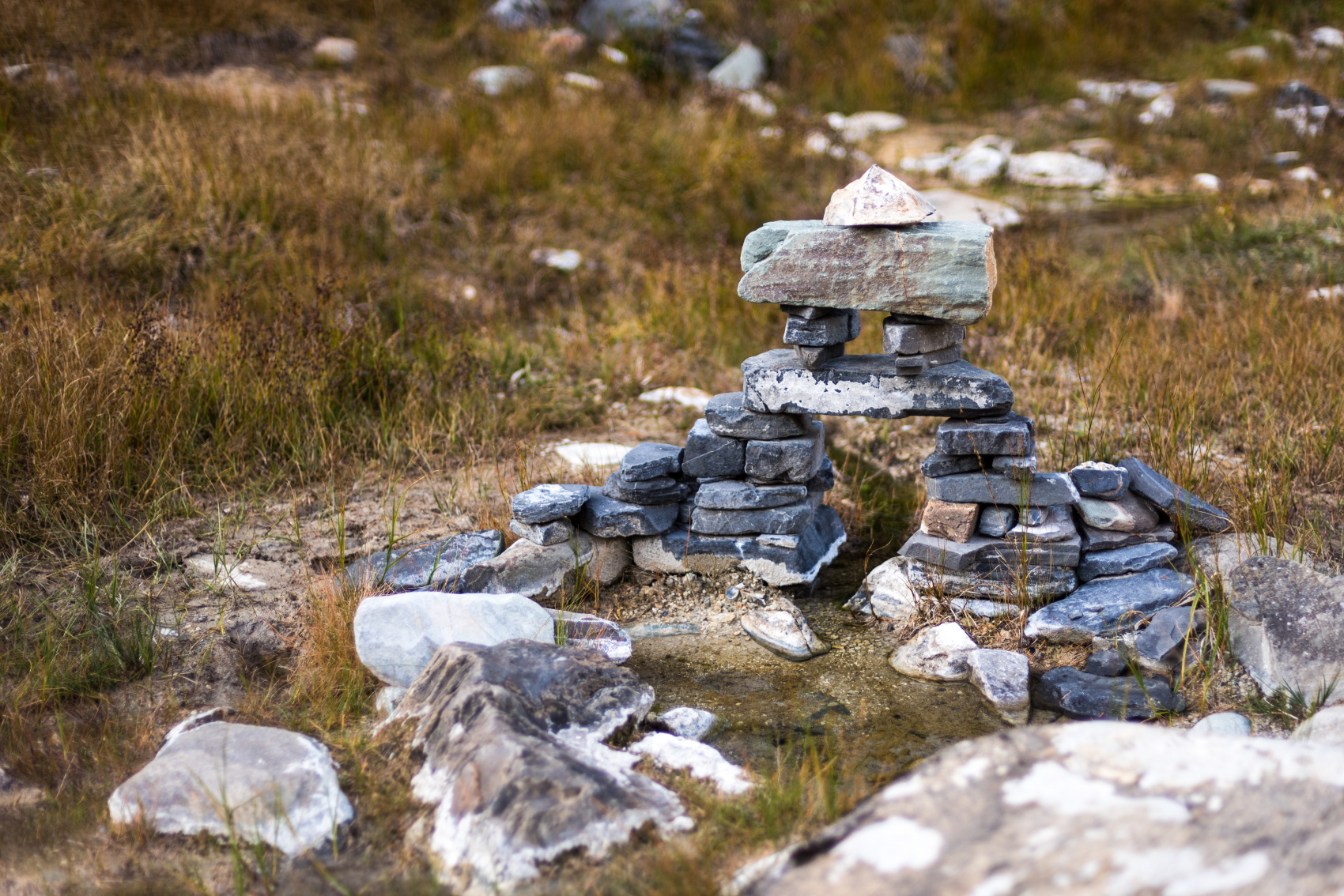 Шумак. Путешествие в место силы. (17/60)