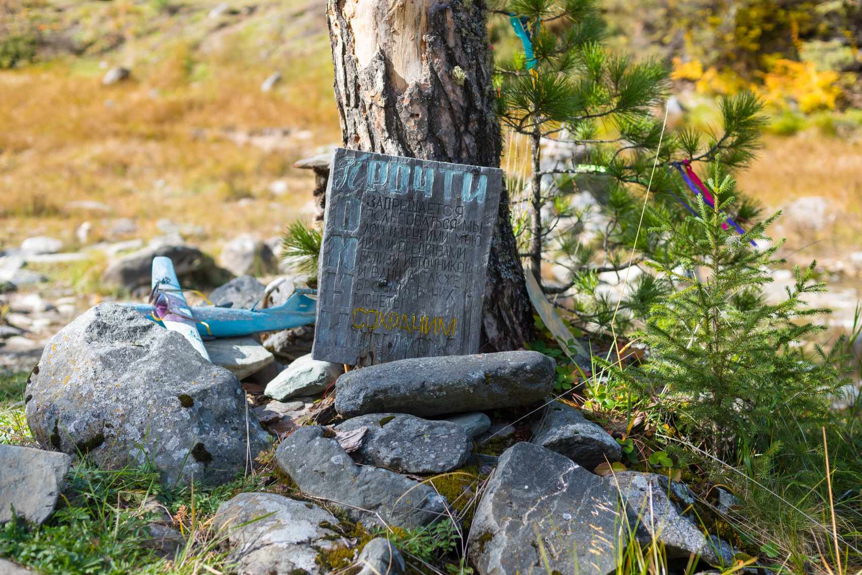 Шумак. Путешествие в место силы. (18/60)