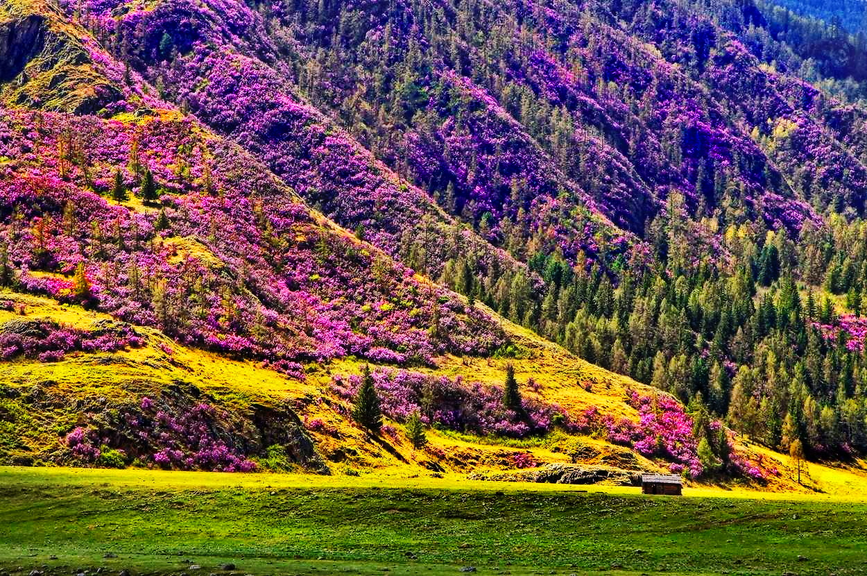 БОЛЬШОЙ МАЙСКИЙ ТУР НА АЛТАЙ + ШАМАН (7/35)