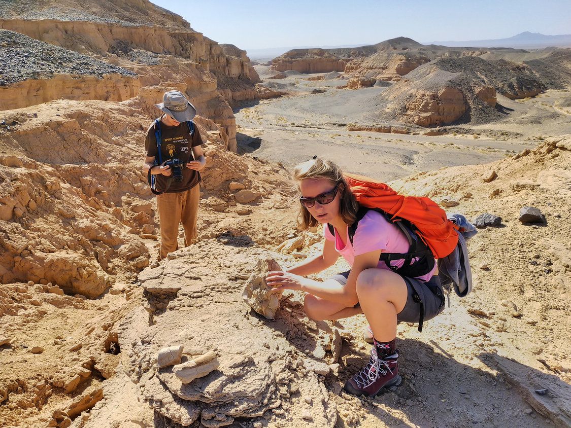 По Пути Центрально Азиатской экспедиции Рериха  К Сердцу Пустыни Гоби (34/130)