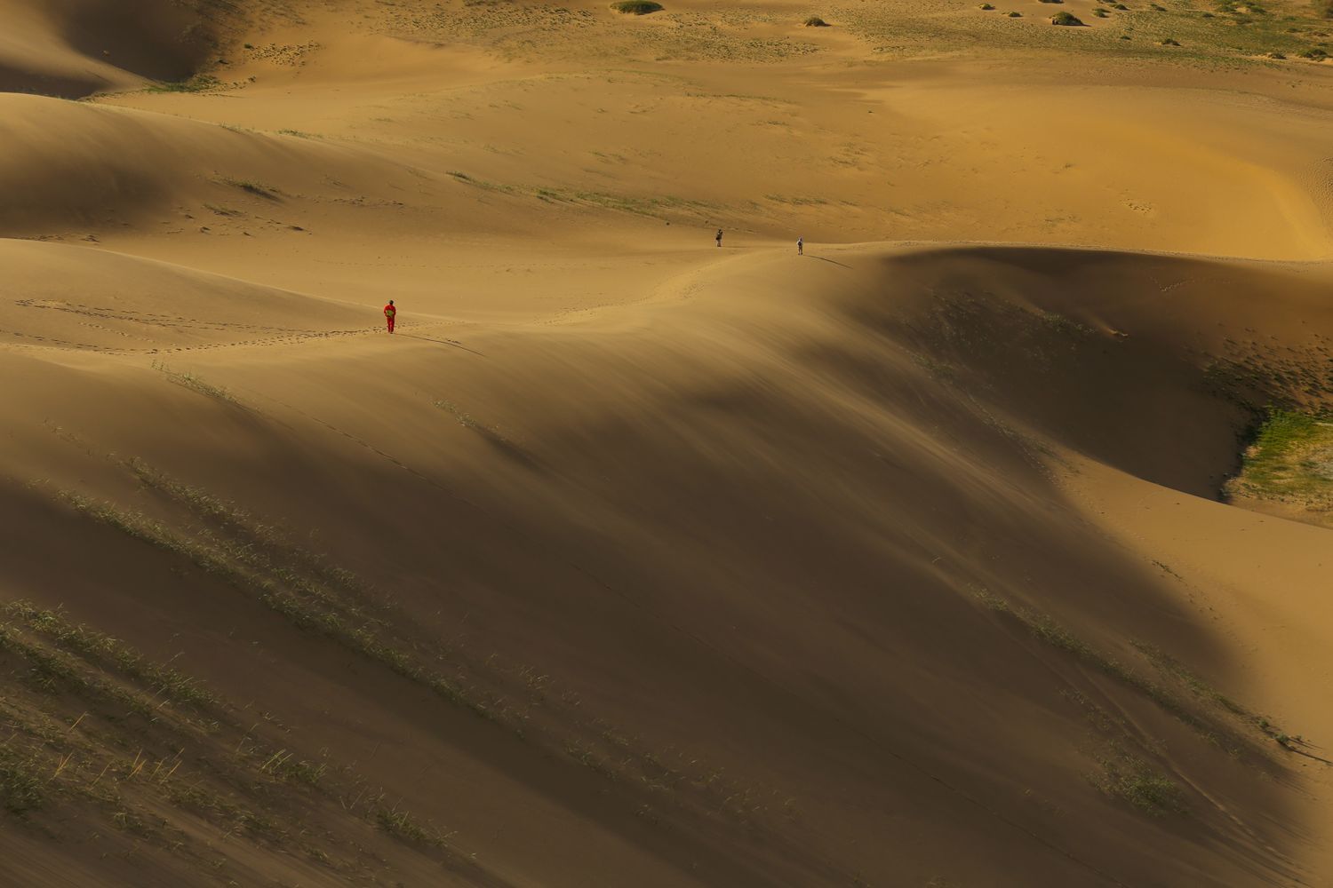 По Пути Центрально Азиатской экспедиции Рериха  К Сердцу Пустыни Гоби (39/130)