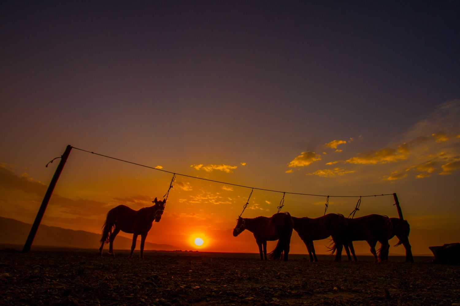 По Пути Центрально Азиатской экспедиции Рериха  К Сердцу Пустыни Гоби (17/130)
