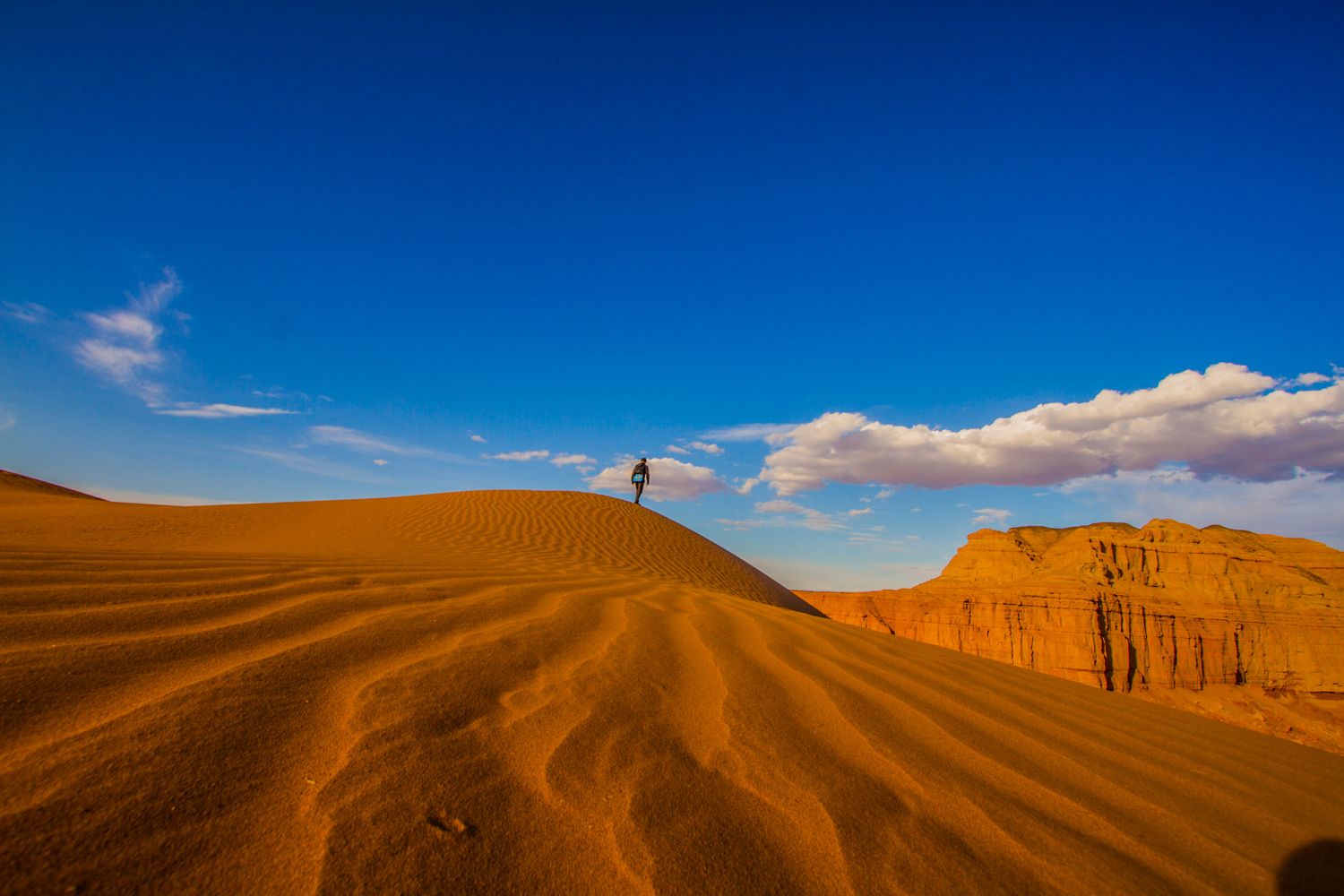 По Пути Центрально Азиатской экспедиции Рериха  К Сердцу Пустыни Гоби (26/130)
