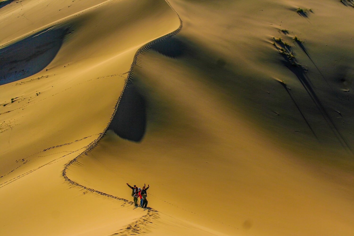 По Пути Центрально Азиатской экспедиции Рериха  К Сердцу Пустыни Гоби (5/130)