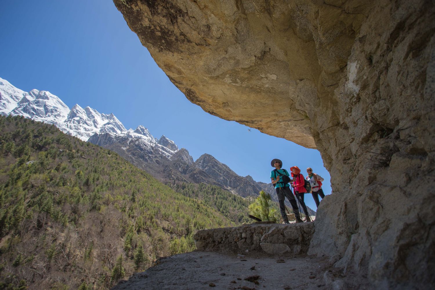 Идем в Гарвальские Гималаи Индии на Плато Пророков! Туда Где Ганга Спускается с Небес (25/88)