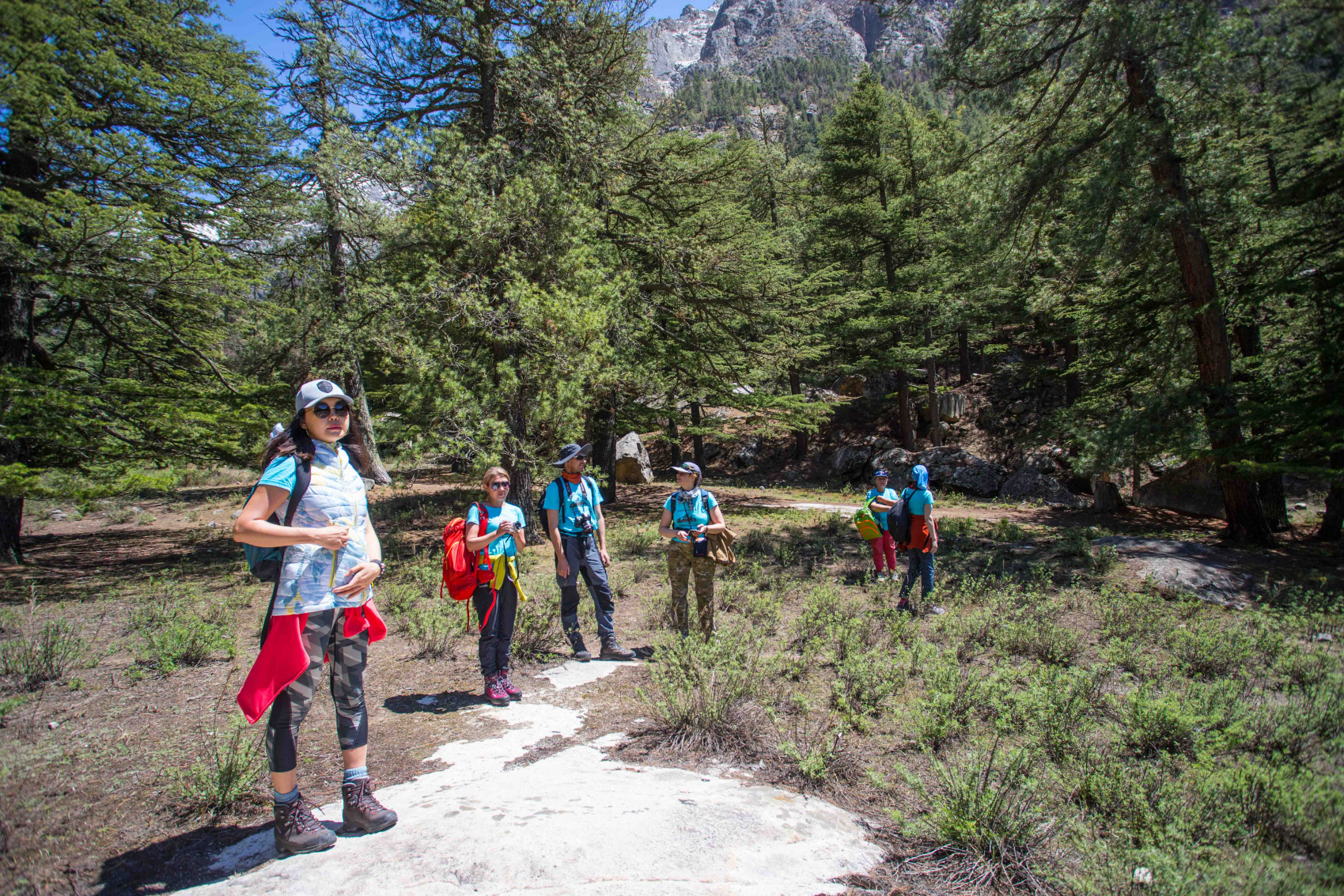Идем в Гарвальские Гималаи Индии на Плато Пророков! Туда Где Ганга Спускается с Небес (10/88)