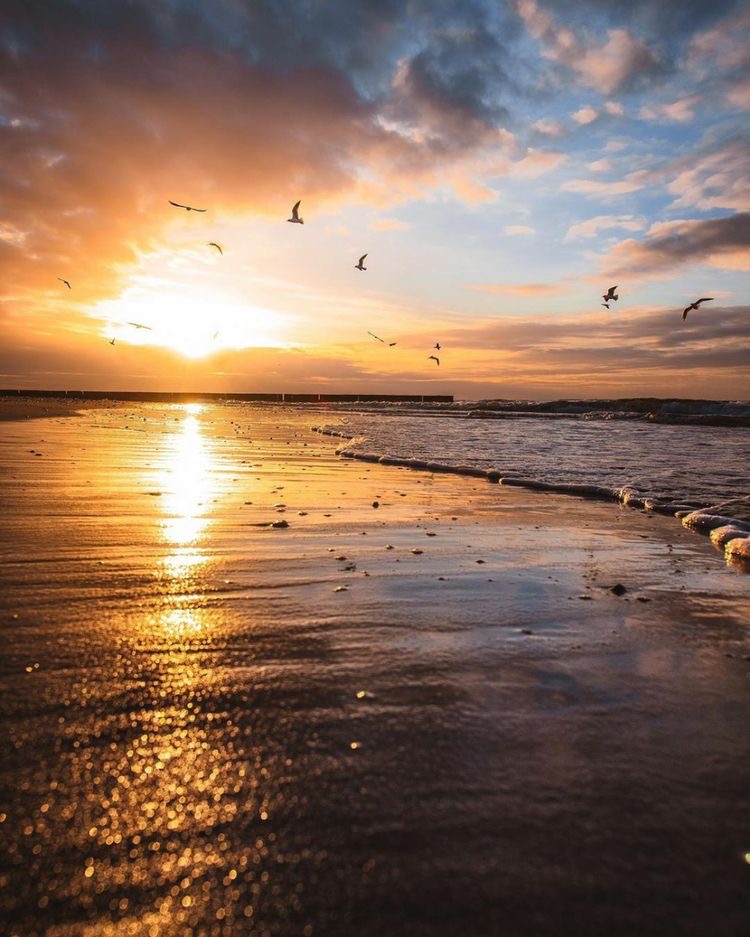 Тур в Калининград Сила Стихий (7/41)