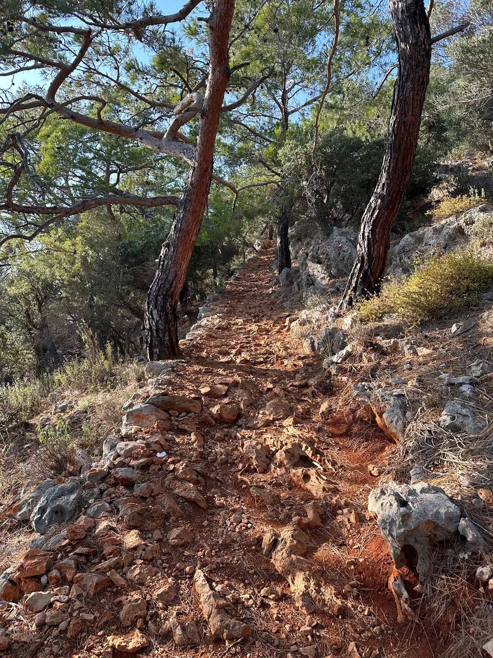 Йога-хайкинг по Ликийской тропе (с комфортом) (5/15)
