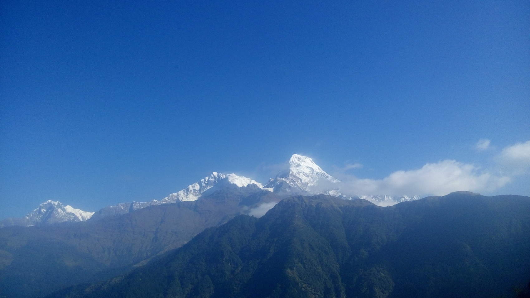 Кольцевой поход в Аннапурне (14/17)